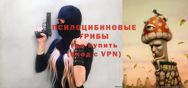 ALPHA PVP Няндома