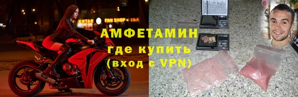 сатива Галич