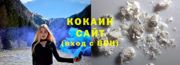 ALPHA PVP Няндома