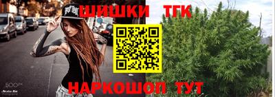 гашик Гатчина