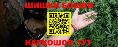гашик Гатчина