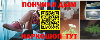 гашик Гатчина