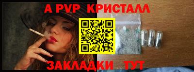 гашик Гатчина