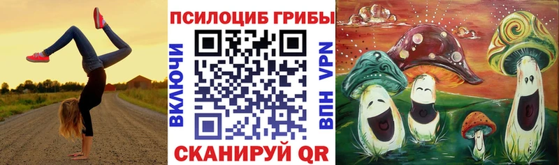 даркнет Telegram  OMG рабочий сайт  Псилоцибиновые грибы прущие грибы  Ртищево  хочу наркоту 